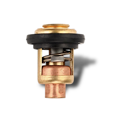 Yamaha Omax Thermostat for 50G, 60F & 70B - 6H3-12411-11