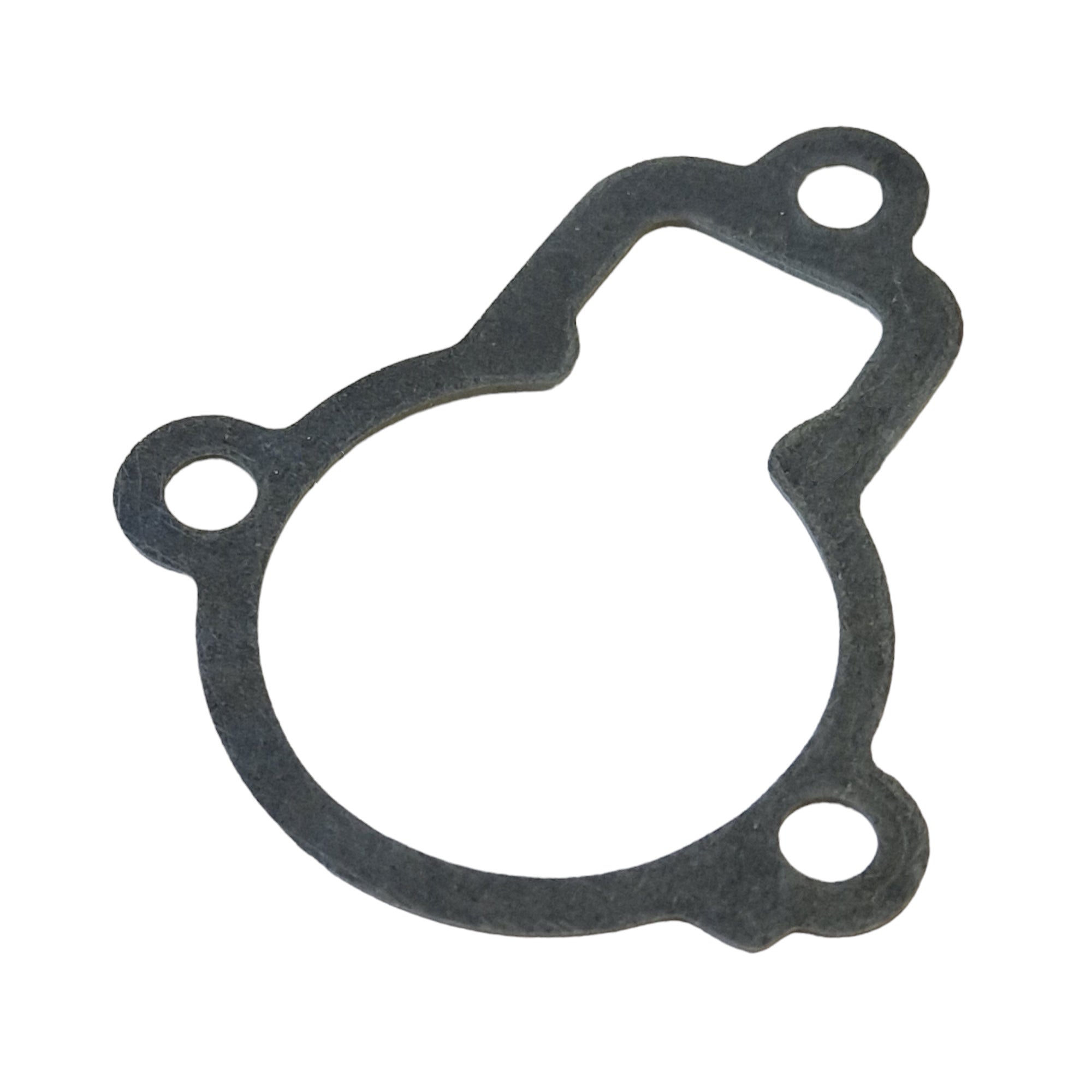 Tohatsu Thermostat Cap Gasket - 353-01032-0