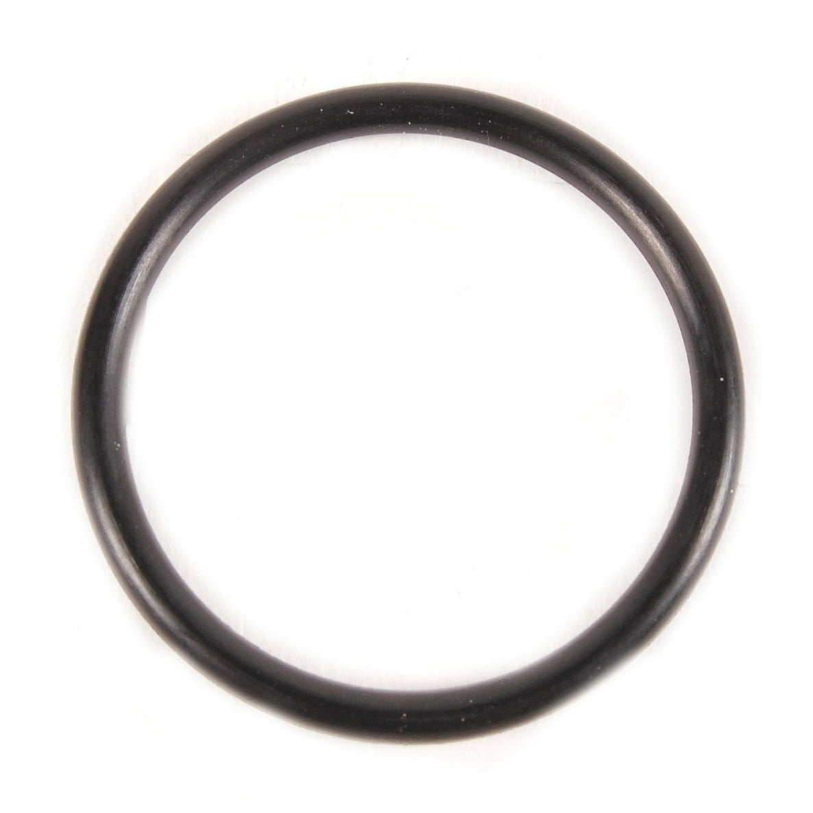 Evinrude Thermostat Cover O-Ring 0301917