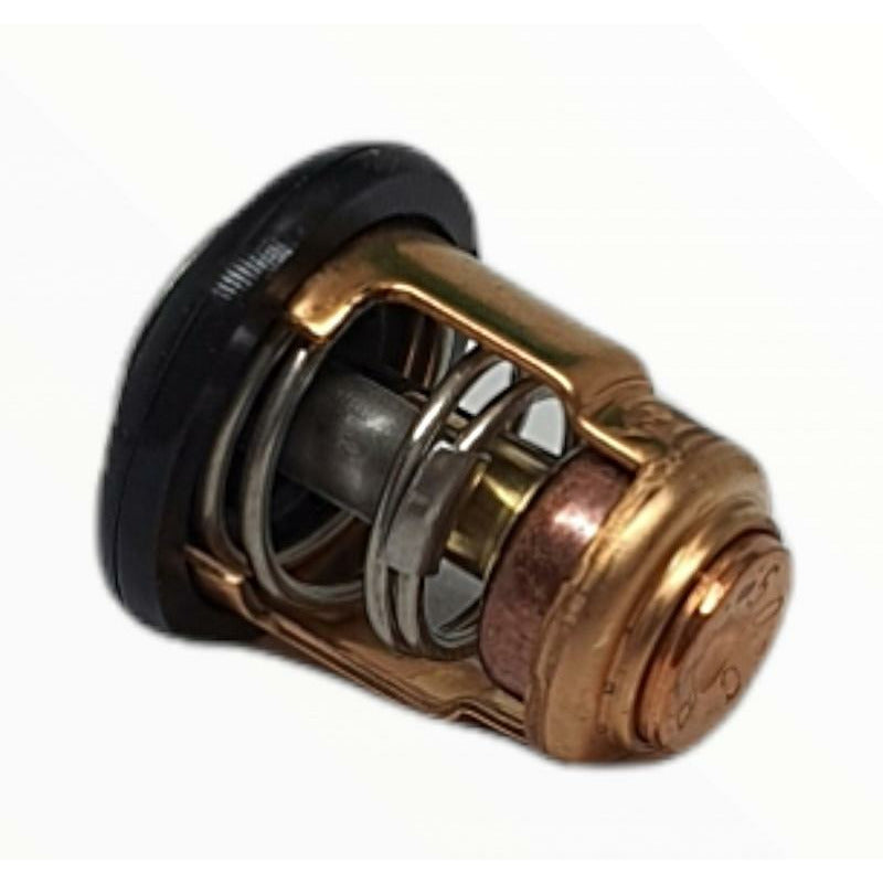 Yamaha Outboard Thermostat 6E5-