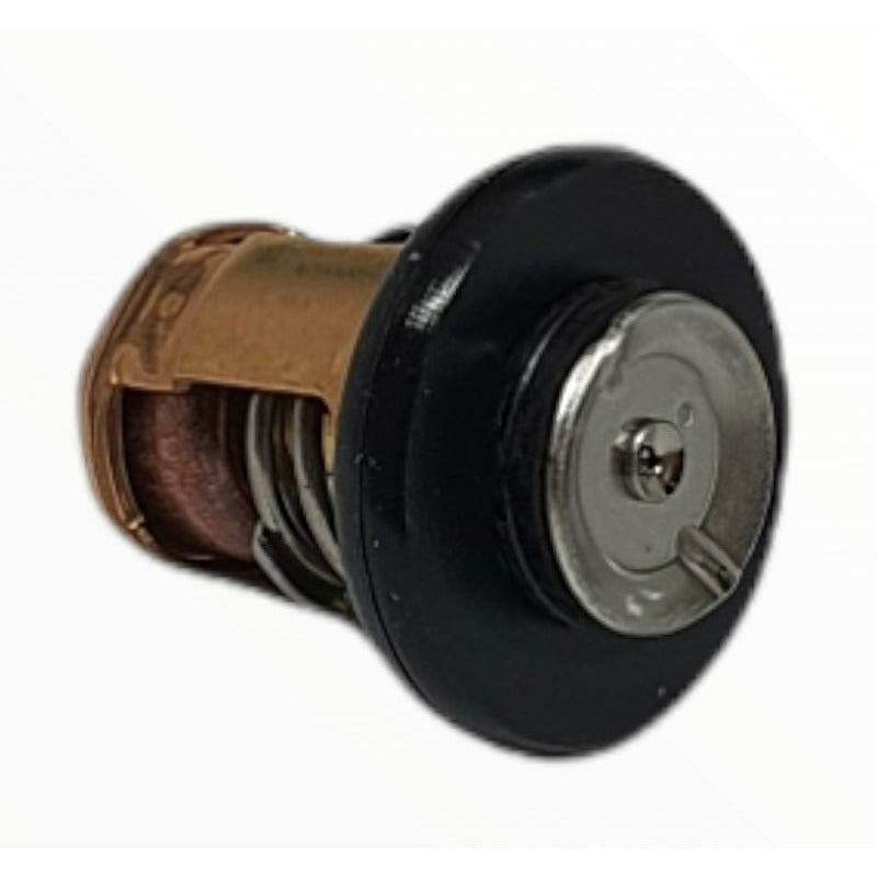 Yamaha Outboard Thermostat 6E5-