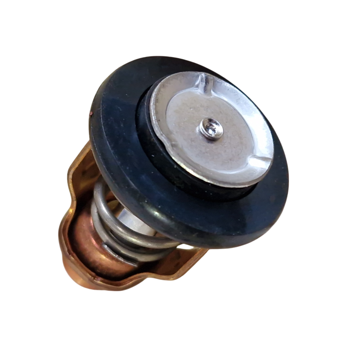 Genuine Yamaha Thermostat for F100-300 - 60V-12411-00 | UK