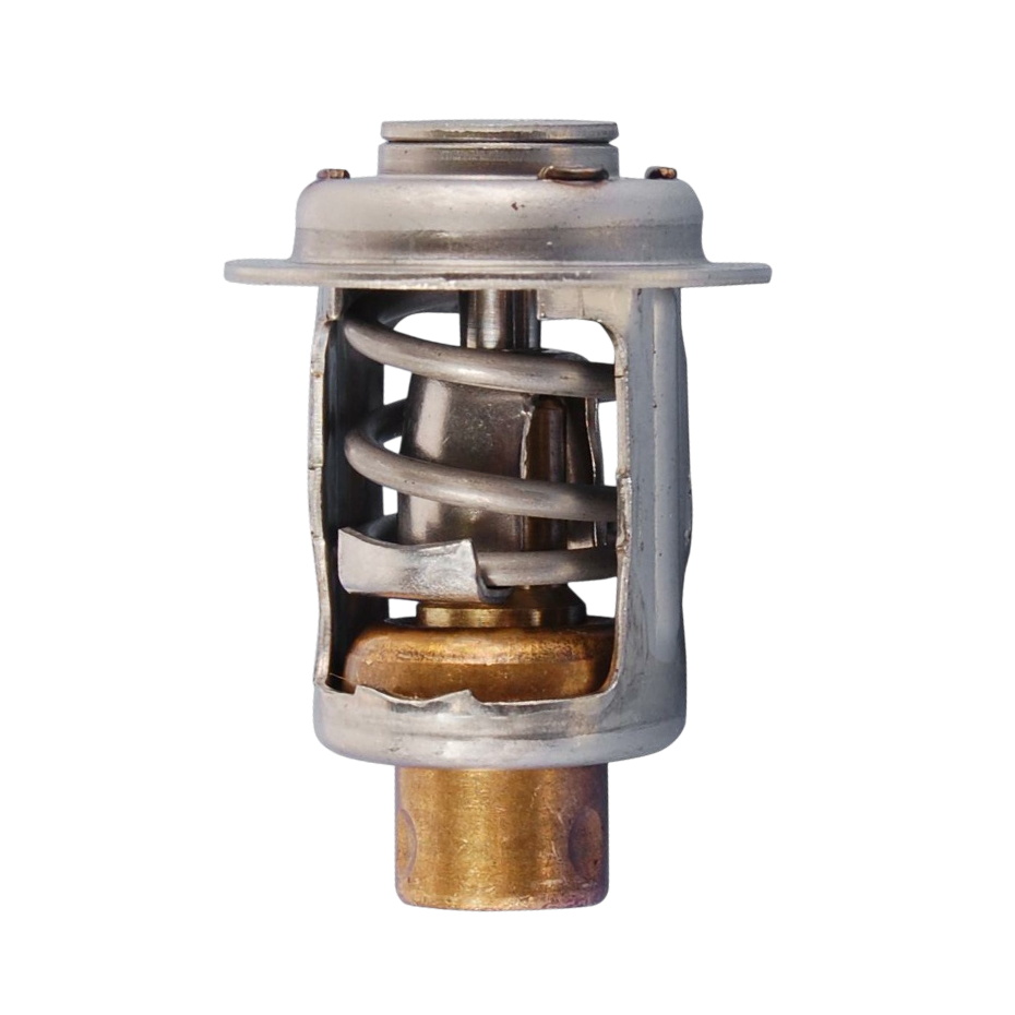 Evinrude Thermostat - 5005440