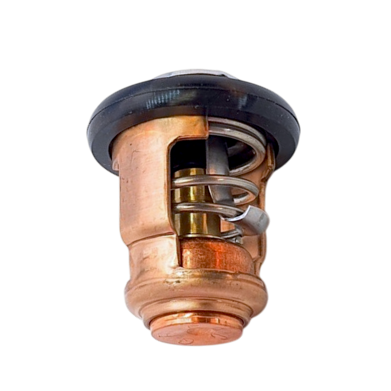 Yamaha Thermostat - 6H3-12411-11