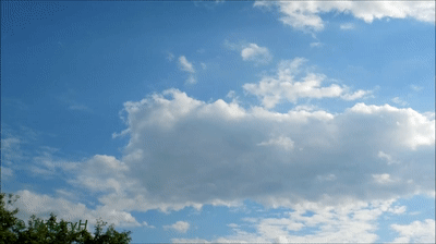 img testing sample