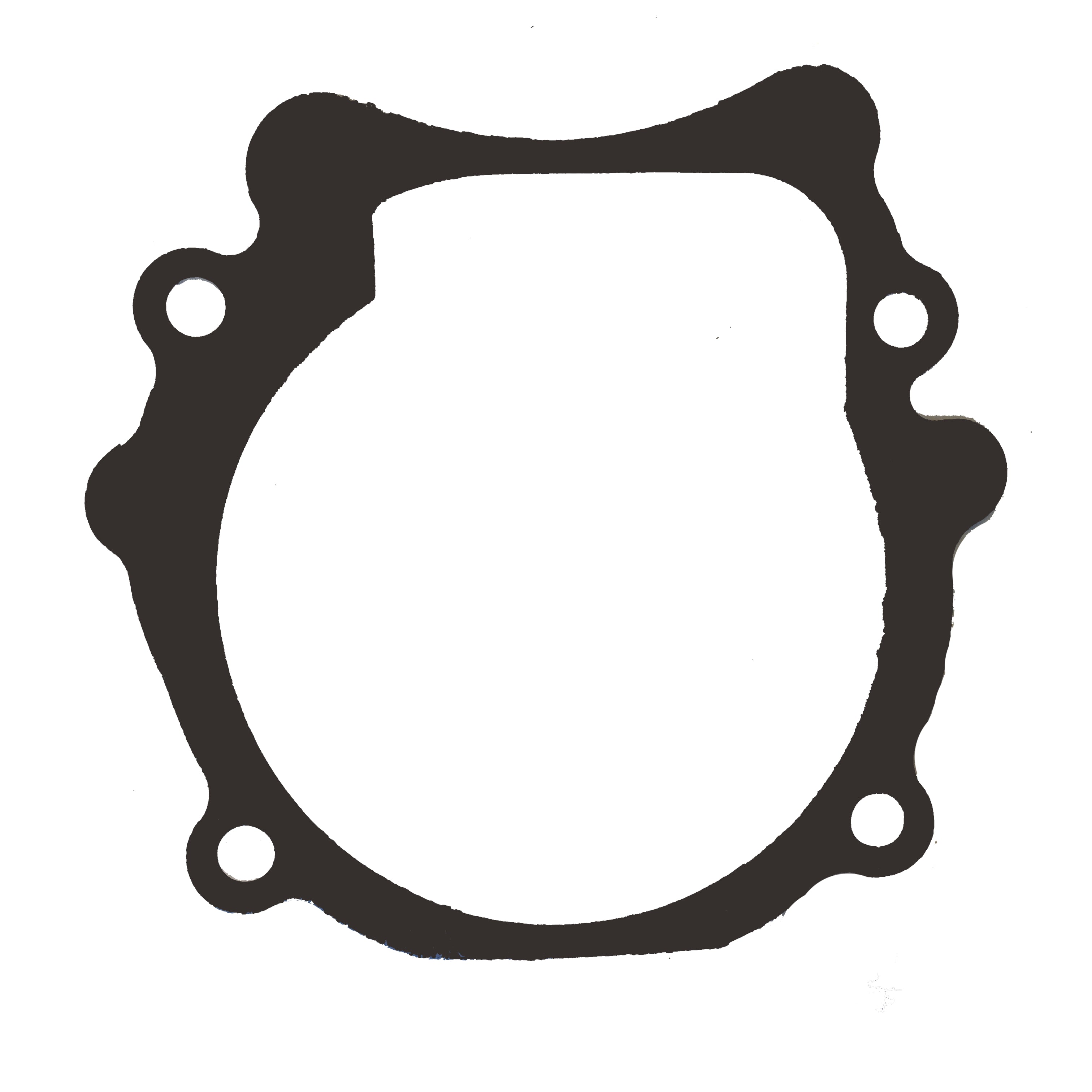 OMC Gasket - 915719